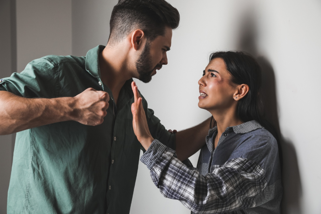 Domestic Violence Cases